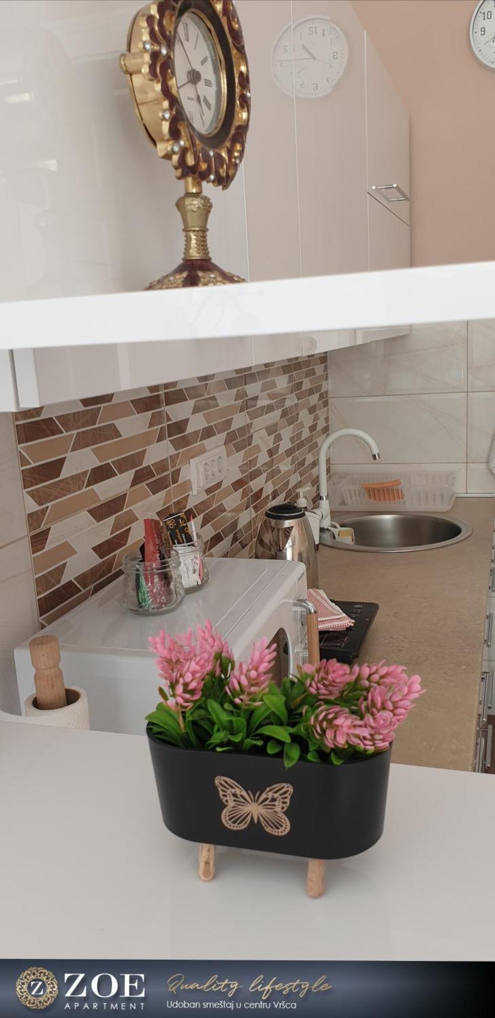Zoe Apartment Vrsac Dış mekan fotoğraf